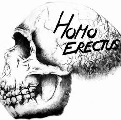 Homo Erectus : Homo Erectus